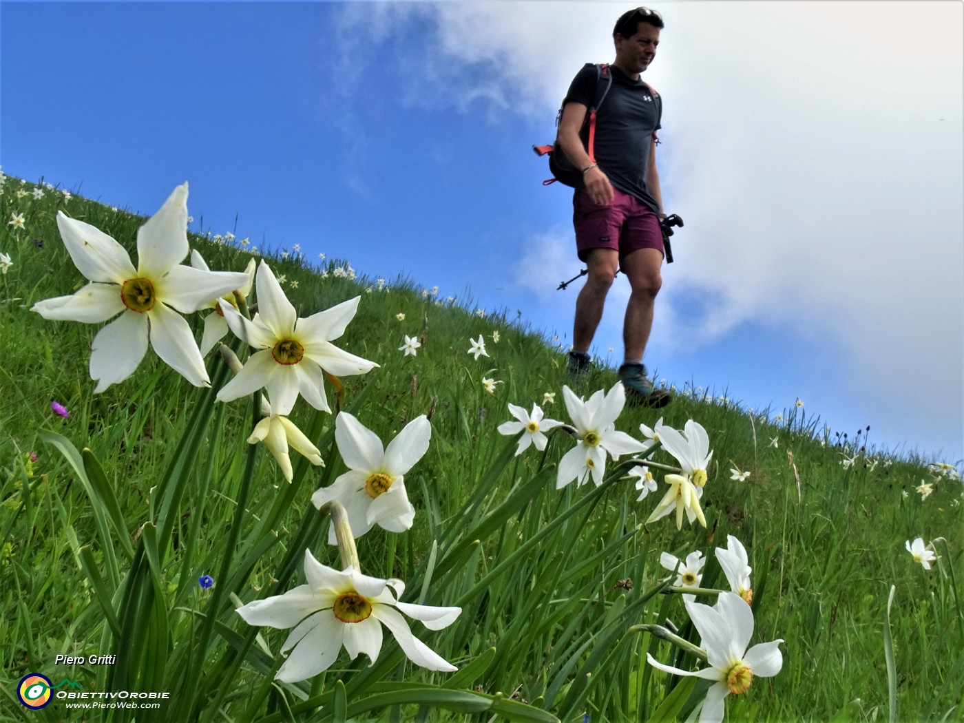 57 Bello camminare tra i narcisi.JPG